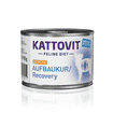 Aufbaukur/Recovery