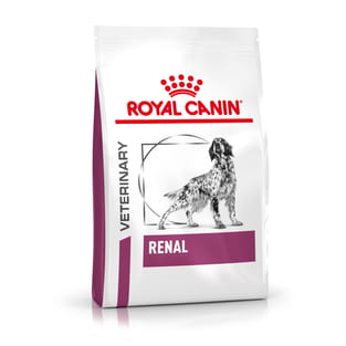 Renal Dog