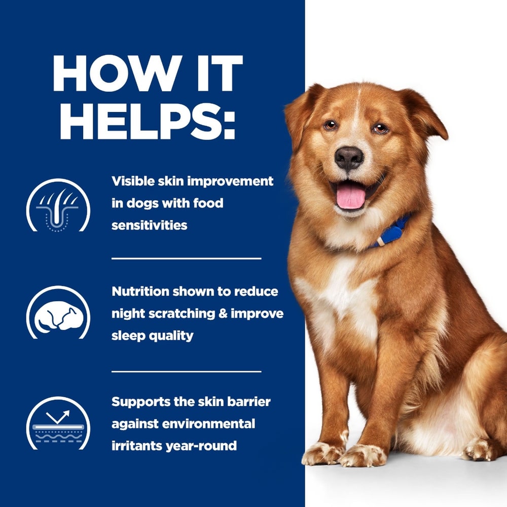 Canine - Derm Complete Original - Can