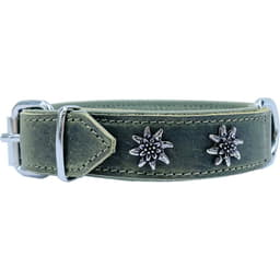 Edelweiss-Halsband aus weichem Leder, grün