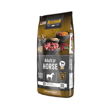 Adult GF Horse