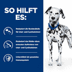 Canine u/d Urinary Care