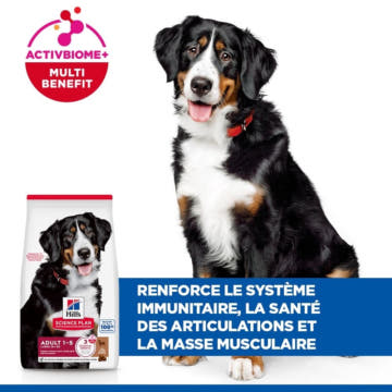 Canine Adult Large Breed Lamb & Rice