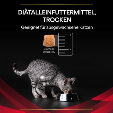 FELINE DM St/Ox Diabetes Management