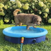 Splash Pool 2 en 1