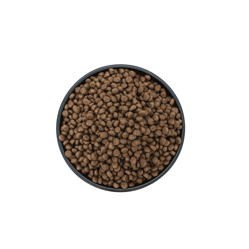 Super Premium Quality Mini