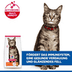 Feline Adult Chicken