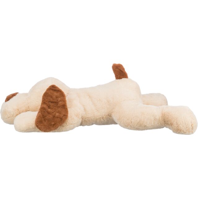 Cuddly dog Benny