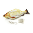 Fish-Dancer Karpfen
