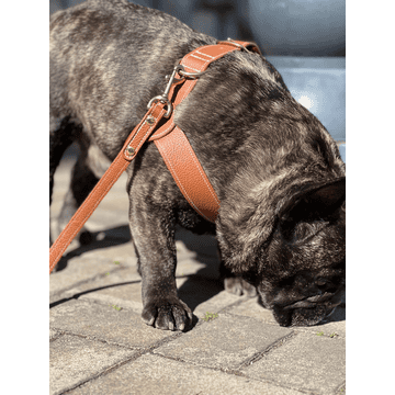 Signature Leather Harness