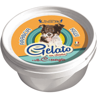 Eiscrème für Hunde