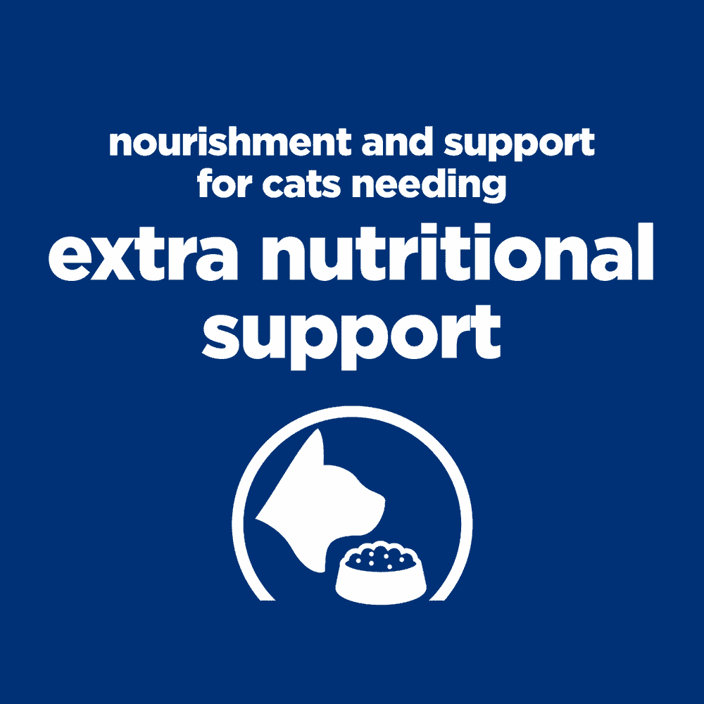 Feline ON-CARE nourish &amp; support