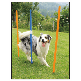 Agility Slalom-Set