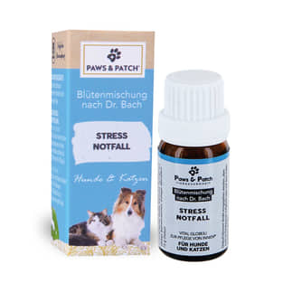 Blütenmischung Stress & Notfall
