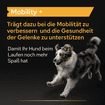 Dog Mobility +