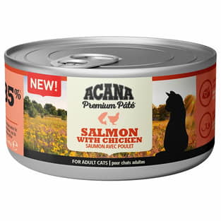 Cat Wet Premium Pâté Salmon & Chicken