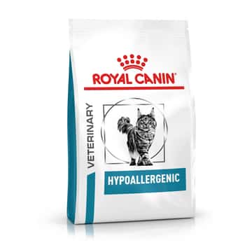 Hypoallergenic Cat