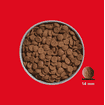 FRED Rind & Pferd Premium Trockenfutter
