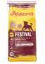 Festival