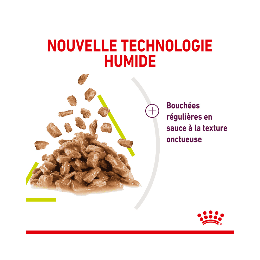 Sensory SMELL (Morceaux en sauce) Sachets