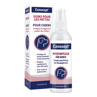 Soins pour les pattes