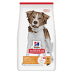 Canine Adult Light Medium Breed