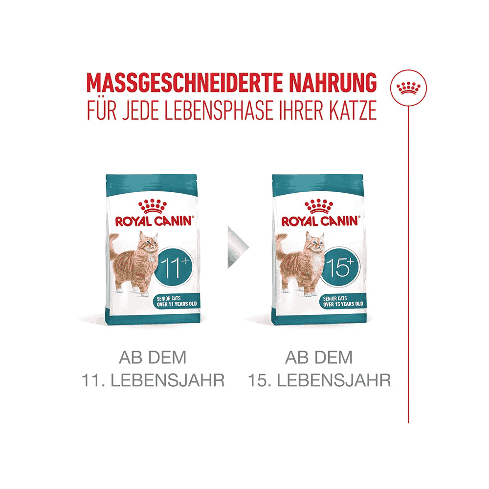 Ageing 11+ Sterilised