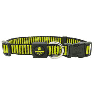 swisspet Halsband Citydog, gelb-grün
