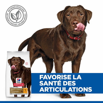 Canine Adult Healthy Mobility Large Breed