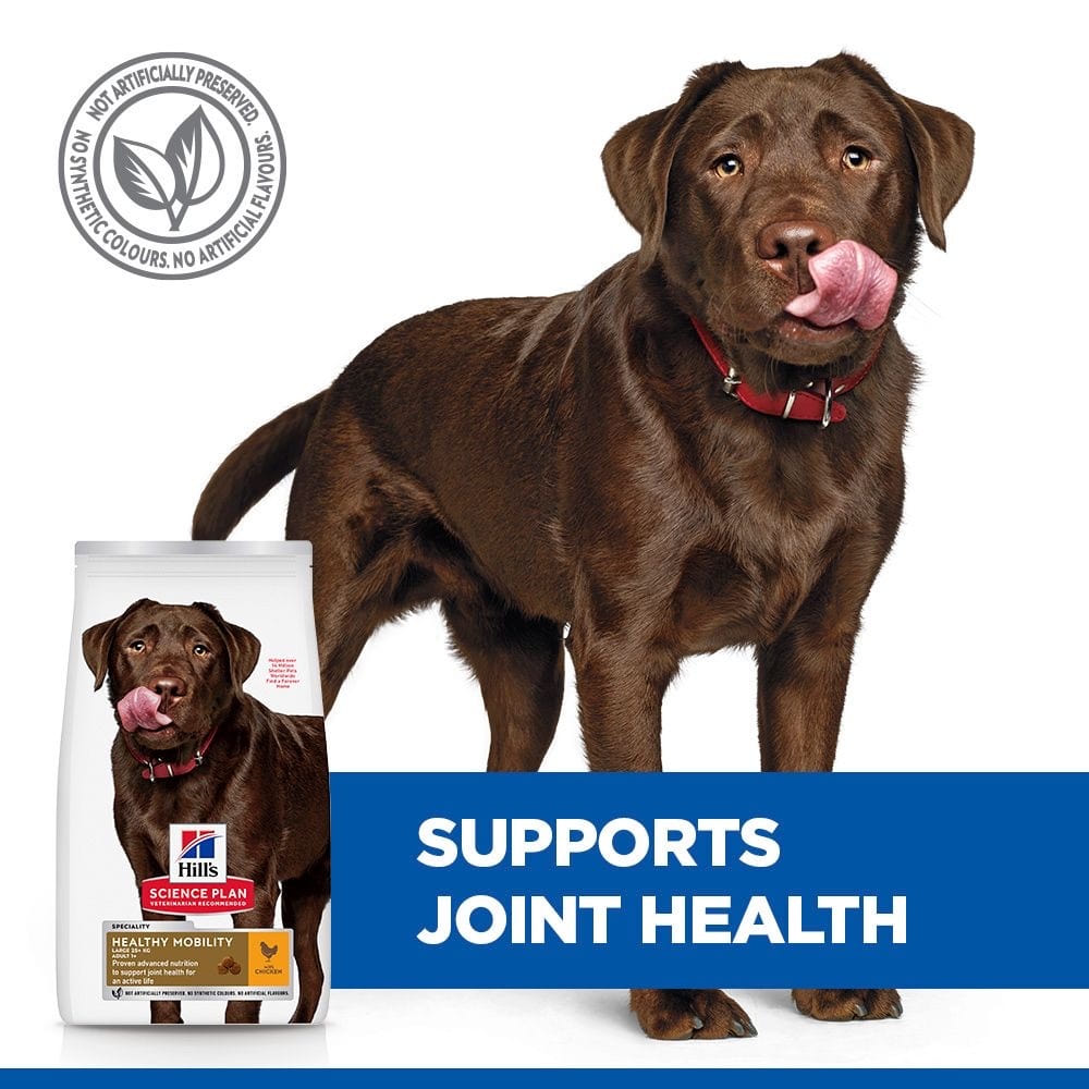 Canine Adult Healthy Mobility Large Breed