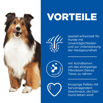 HypoAllergenic Treats