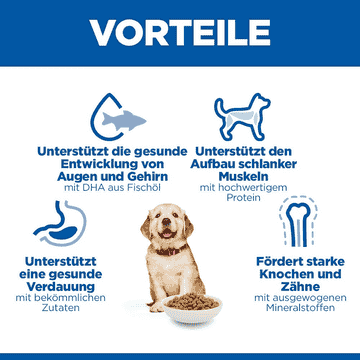 Puppy Large Breed
