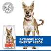 Canine Performance Adult