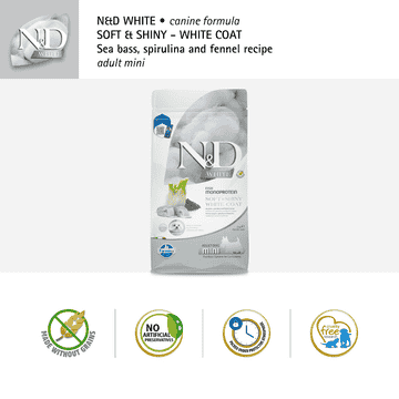 Canine Adult Mini Bar, Fenouil & Spiruline