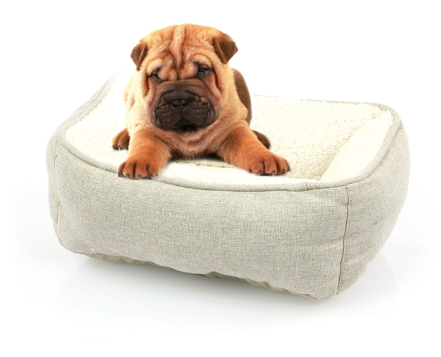 Lit pour chiens et chats Romeo