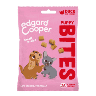 Puppy Dog Bites Duck & Chicken