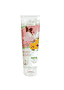 bogacare Shampoo Small + Sensitive Hund
