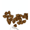 Diabetic Dog