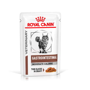 Gastrointestinal Moderate Calorie Cat - sachet