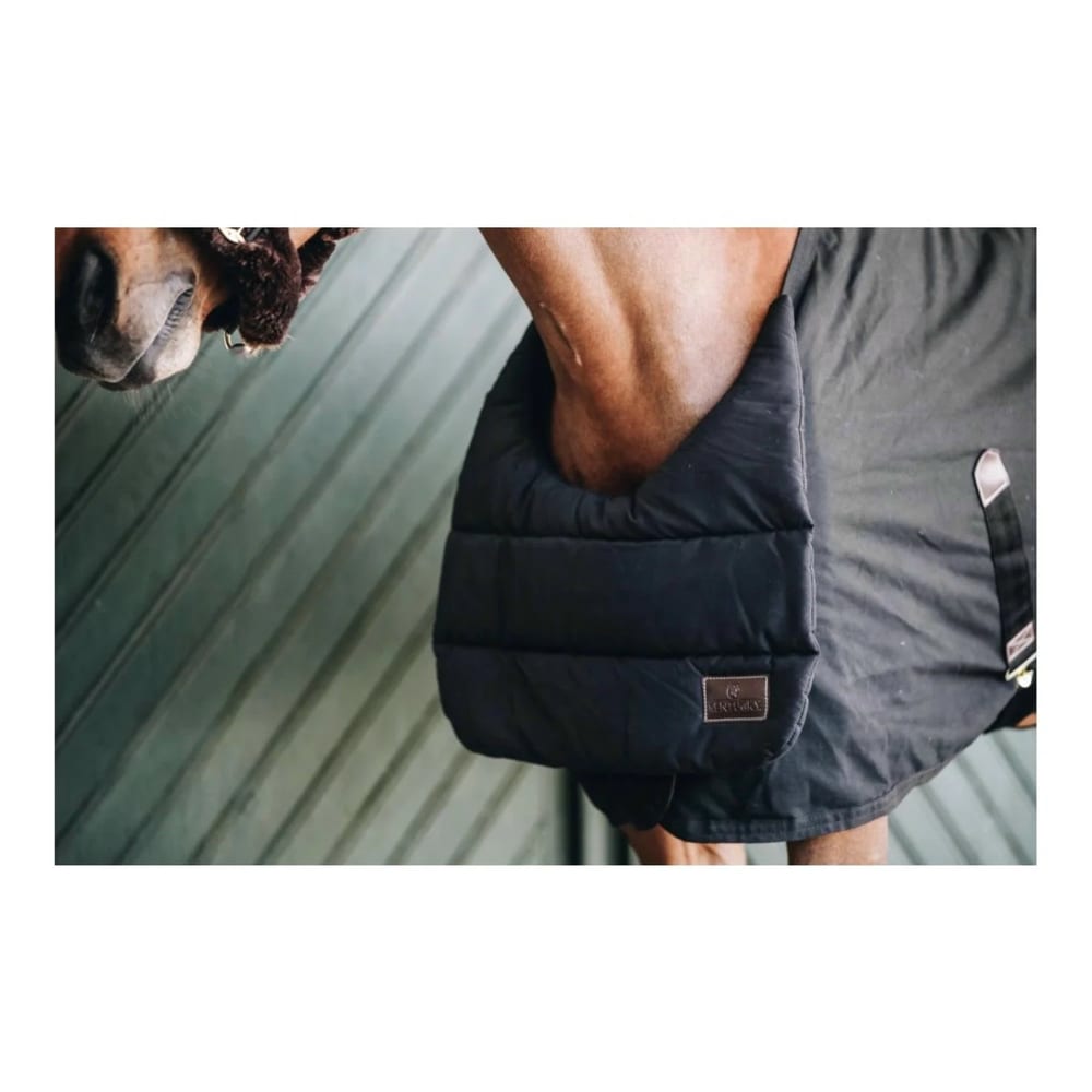Horse BIB summer blanket chest protector warmblood