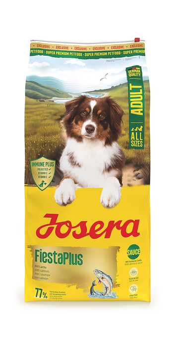 FiestaPlus