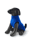 Pullover pour chien bleu