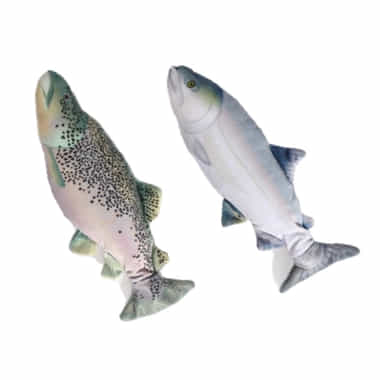 Jittering Fish