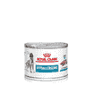 Hypoallergenic Dog - Dose