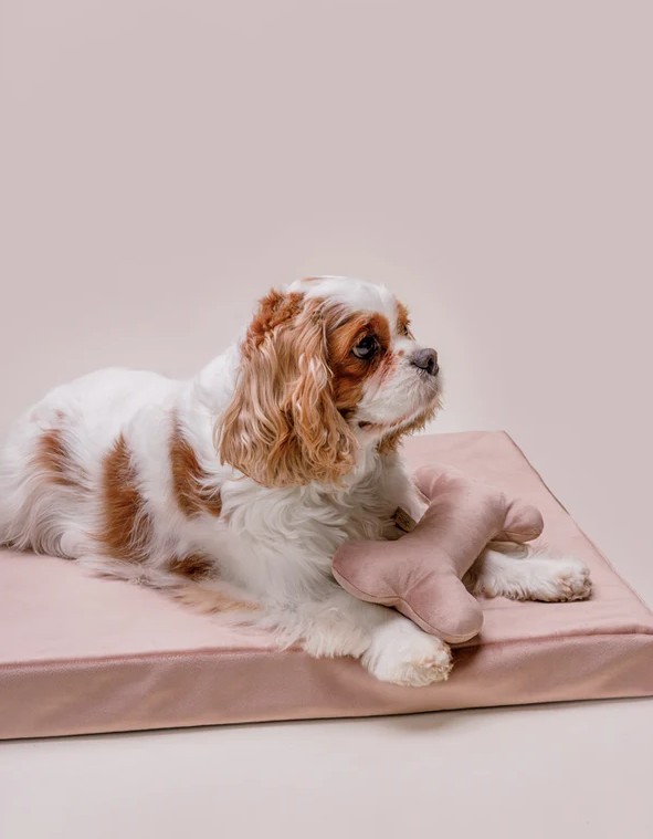Matelas orthopédique pour chiens Chill Dusty Rose