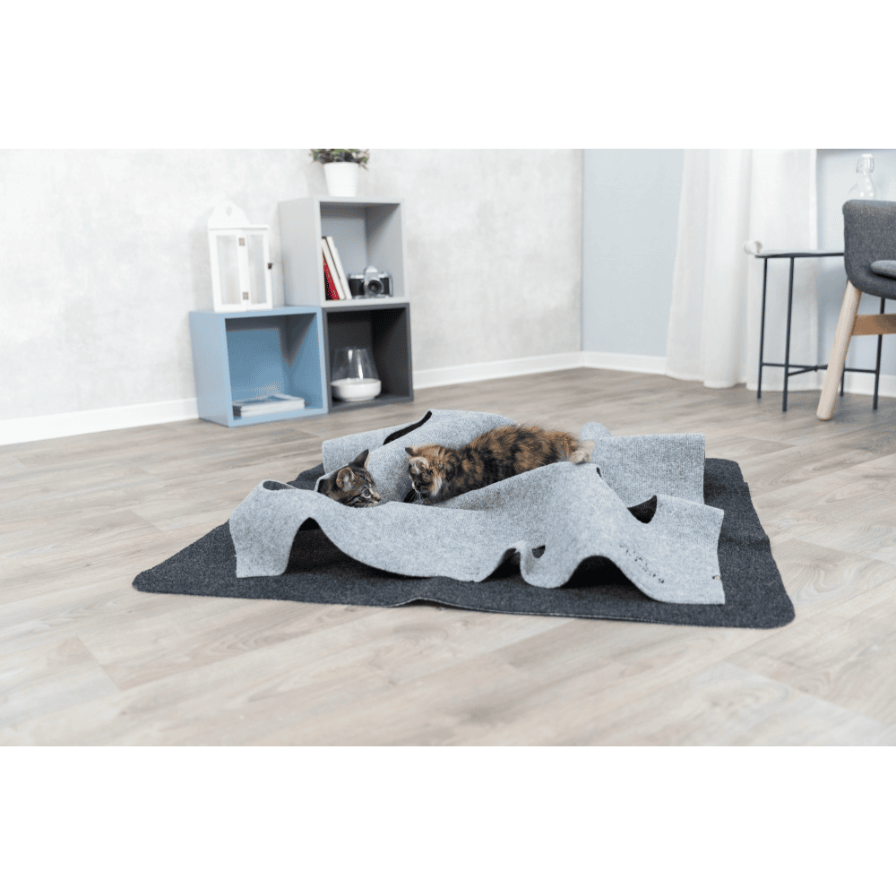 Cat Activity Adventure Carpet