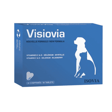 Visiovia