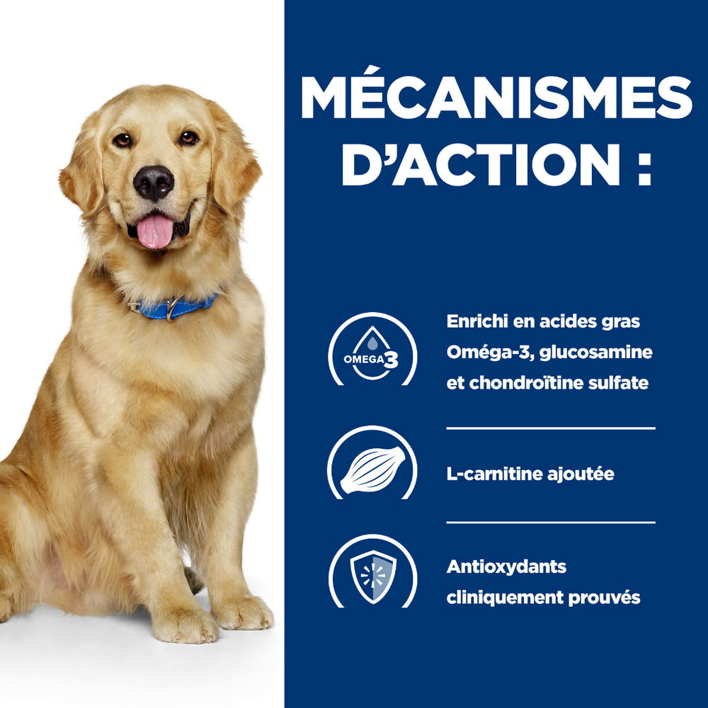 Canine j/d Mobility - en boîte
