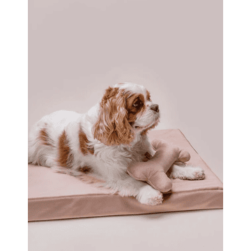 Matelas orthopédique pour chiens Chill Dusty Rose