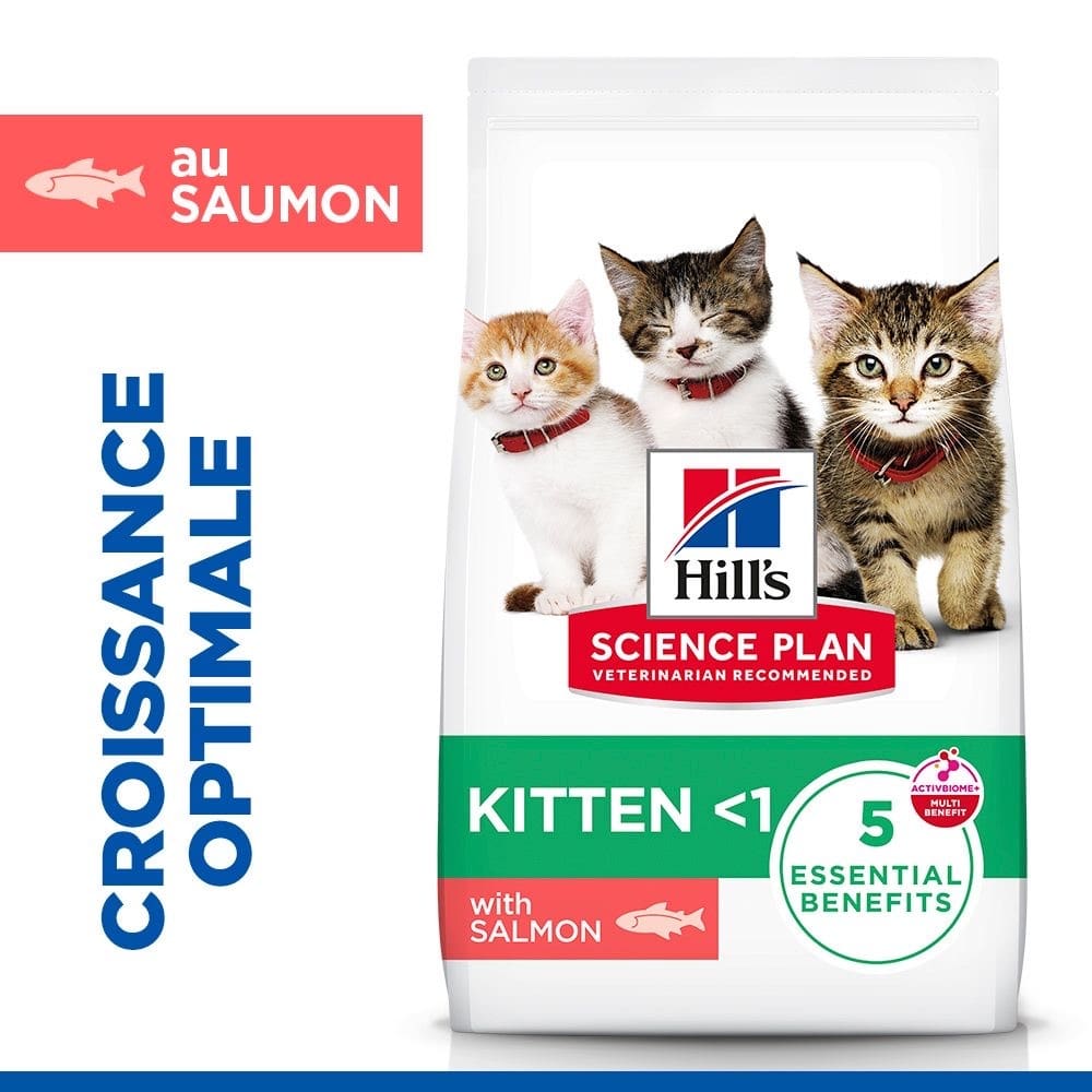 Kitten Tuna (nouveau: Salmon!)